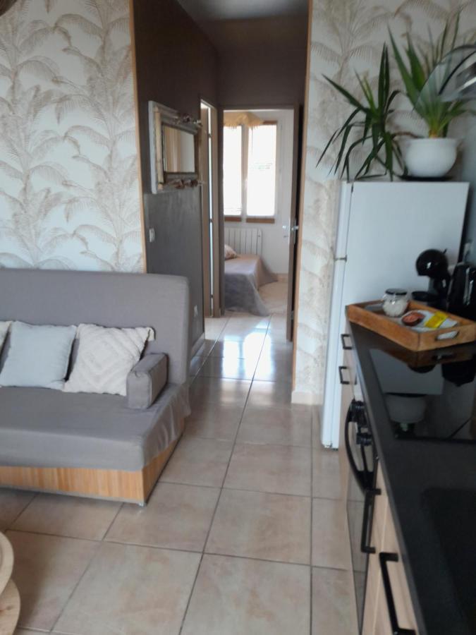 Appartement T1 Plain Pied Le Cannet-des-Maures Exterior photo